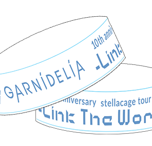 GARNiDELiA 10th anniversary stellacage tour 2024 -Link The World- 蓄光手環