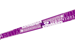 GARNiDELiA 10th anniversary stellacage tour 2024 -Link The World- 颈带