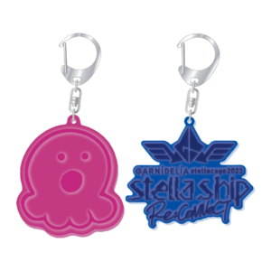 GARNiDELiA stellacage 2023 -stella ship- Re:CoNNeCT_神様反光钥匙环组