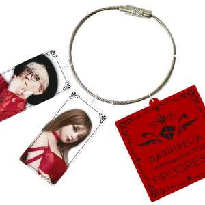 GARNiDELiA stellacage tour 2025 [PROGRESS] 压克力钥匙环